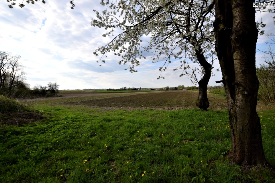 Działka budowlano-rolna Łubki-Kolonia