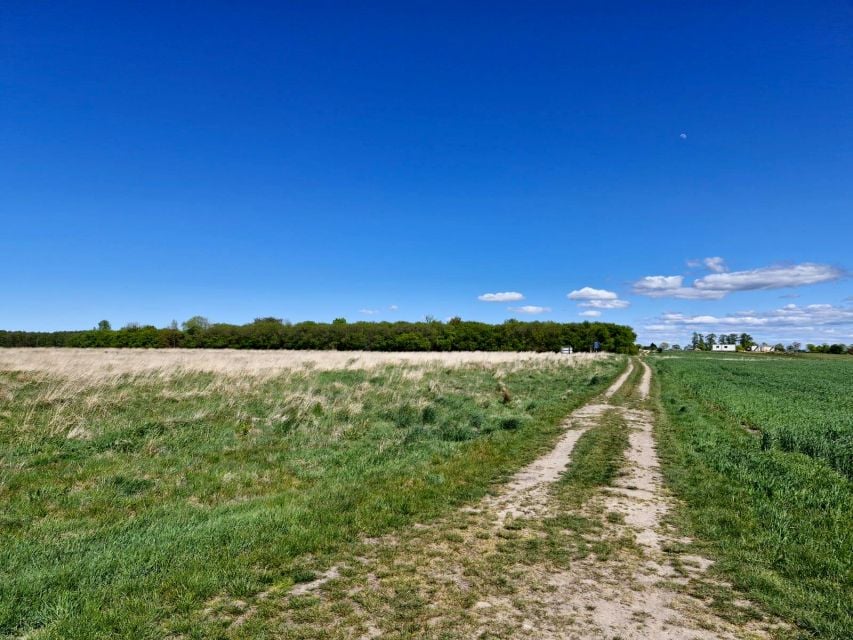 Działka Koszalin