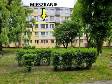 Mieszkanie Kutno
