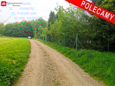 Działka Niżowa