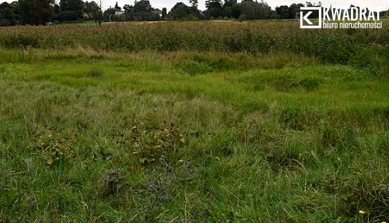 Działka rolna Jakubowice Konińskie