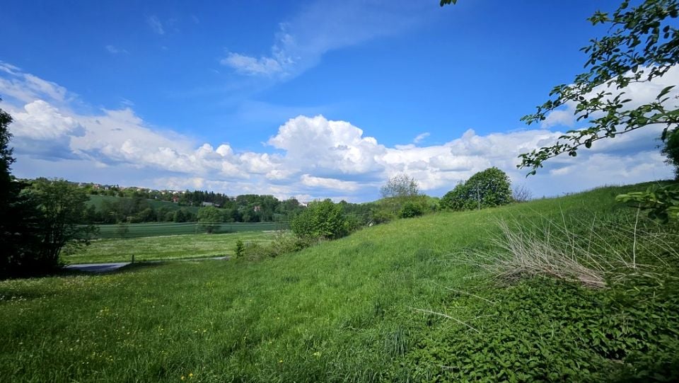 Zdjęcie 3