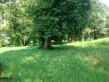Działka Kalinowice