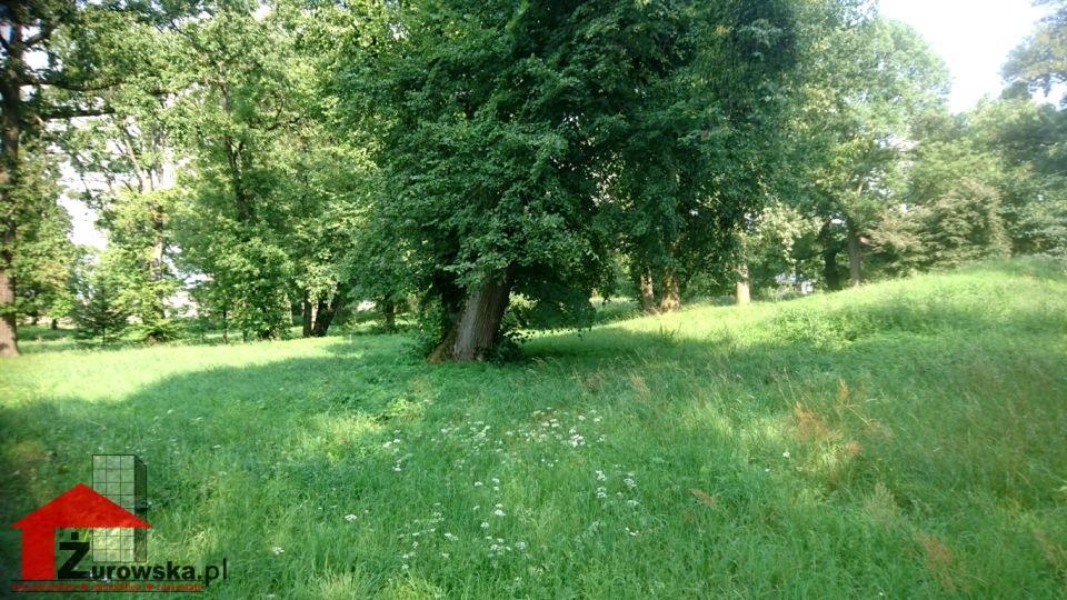 Działka Kalinowice