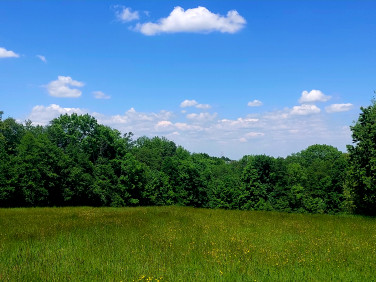 Działka Bielsko-Biała