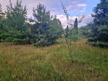 Działka budowlana Czarnów