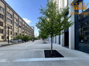 Lokal Warszawa