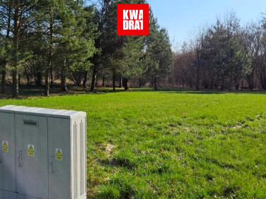 Działka inna Wola Pękoszewska