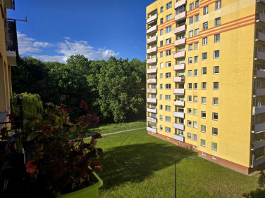 Mieszkanie Police