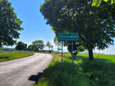 Działka siedliskowa Piotrowice