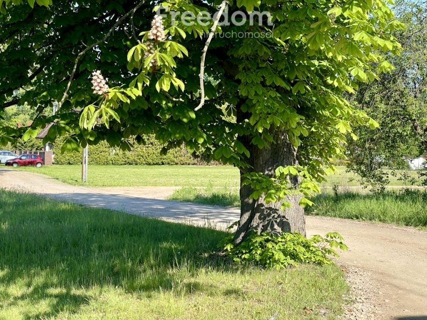 Działka budowlana Pabianice