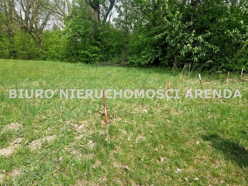 Zdjęcie 3