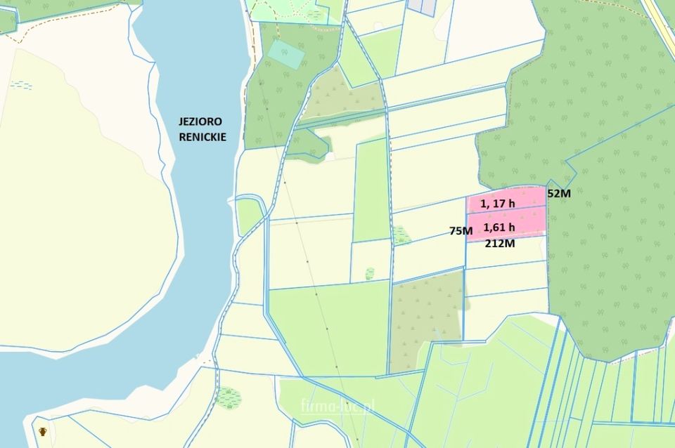 Działka rolna Renice