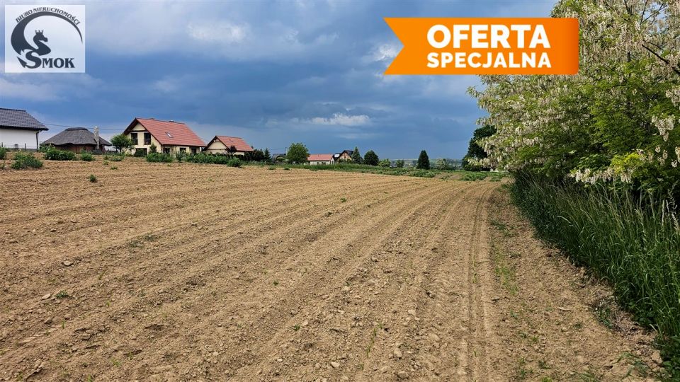 Działka siedliskowa Wilków