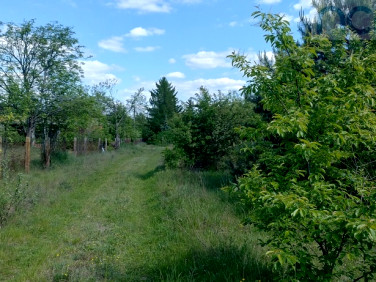 Działka budowlana Cieksyn