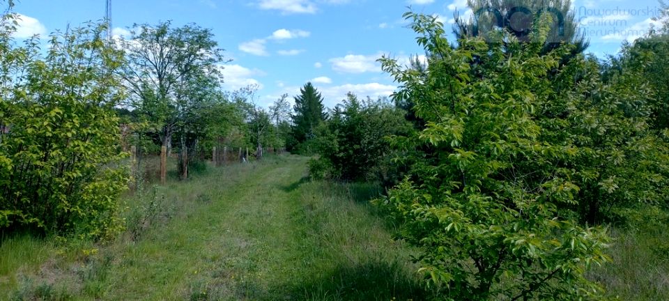Działka budowlana Cieksyn
