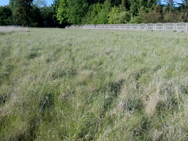 Działka budowlana Międzyrzec Podlaski