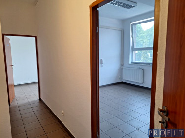 Lokal Katowice