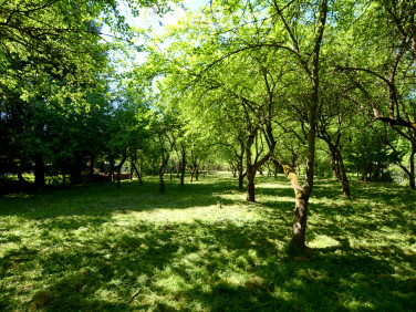 Działka nad rzeką