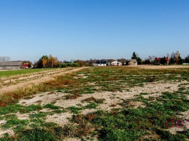 Działka Moskorzew