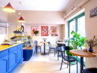 Lokal Kraków