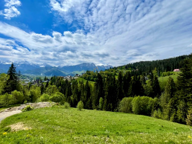 Mieszkanie Zakopane