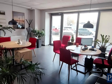 Lokal Katowice