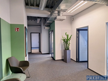 Lokal Katowice
