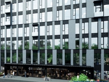 Lokal Katowice