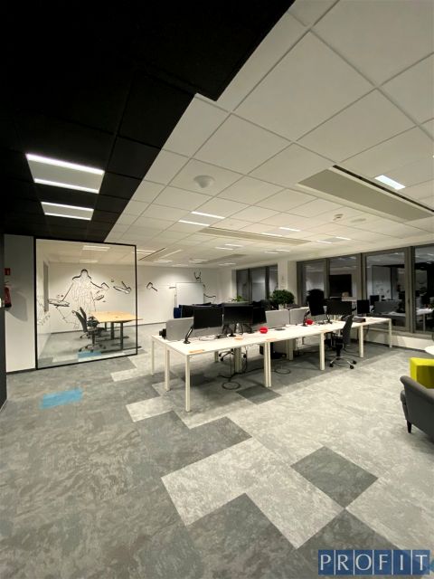 Lokal Katowice