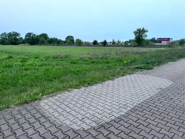Działka usługowa Dawidy sprzedam