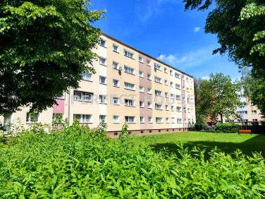Mieszkanie Poznań