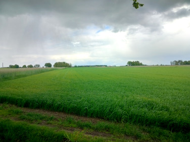 Działka rolna Cienia Druga