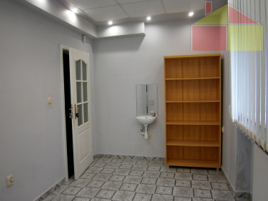 Lokal Żary