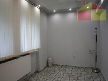 Lokal Żary