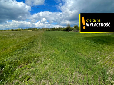 Działka budowlana Maciejowice sprzedam