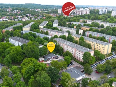 Lokal Kraków