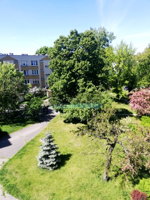 Mieszkanie Wieliszew