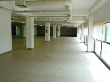 Lokal Rzeszów