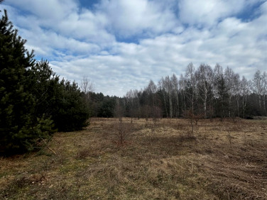 Działka Grzeszyn