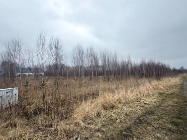 Działka budowlana Ksawerów