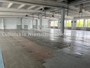 Lokal Lublin