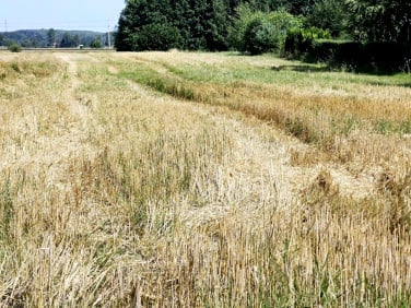 Działka budowlana Ropczyce