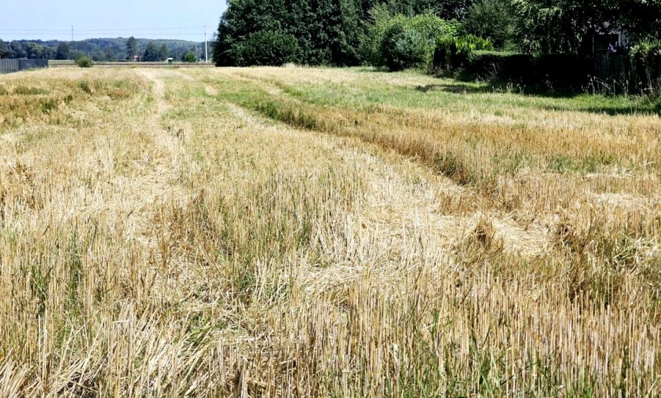 Działka budowlana Ropczyce