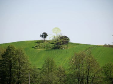 Działka Kobysewo