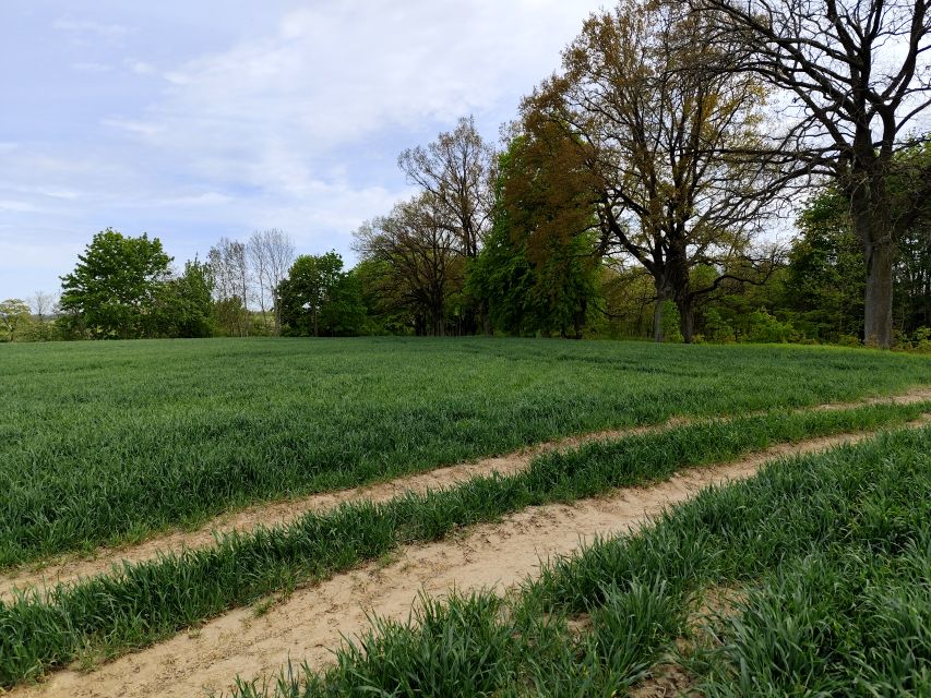 Działka budowlana sprzedam