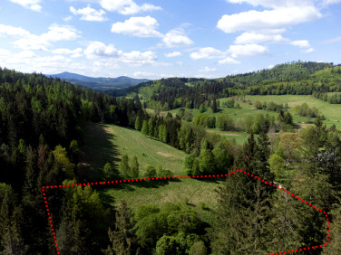 Działka Orłowiec