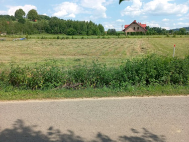 Działka budowlana Gogołów