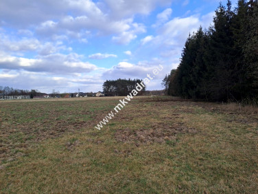 Działka budowlana Skuły