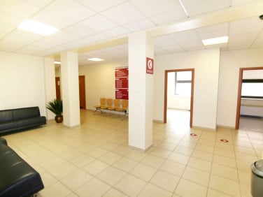 Lokal Rzeszów
